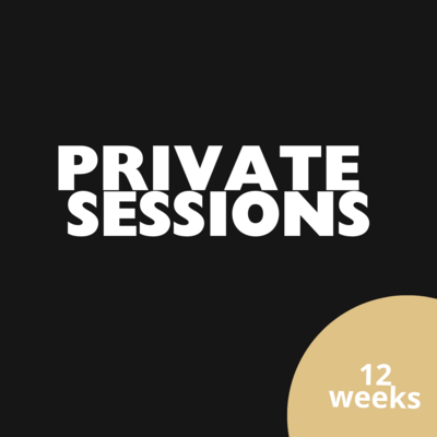 12-WEEK Private Consultation - Writing Class