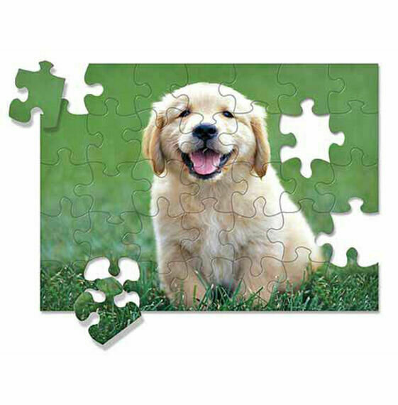 Puzzle Golden Retriever Puppy