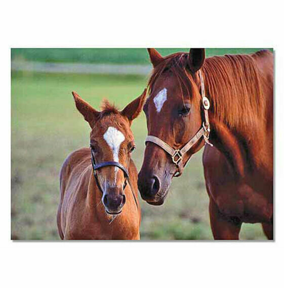 Puzzle Mare & Foal