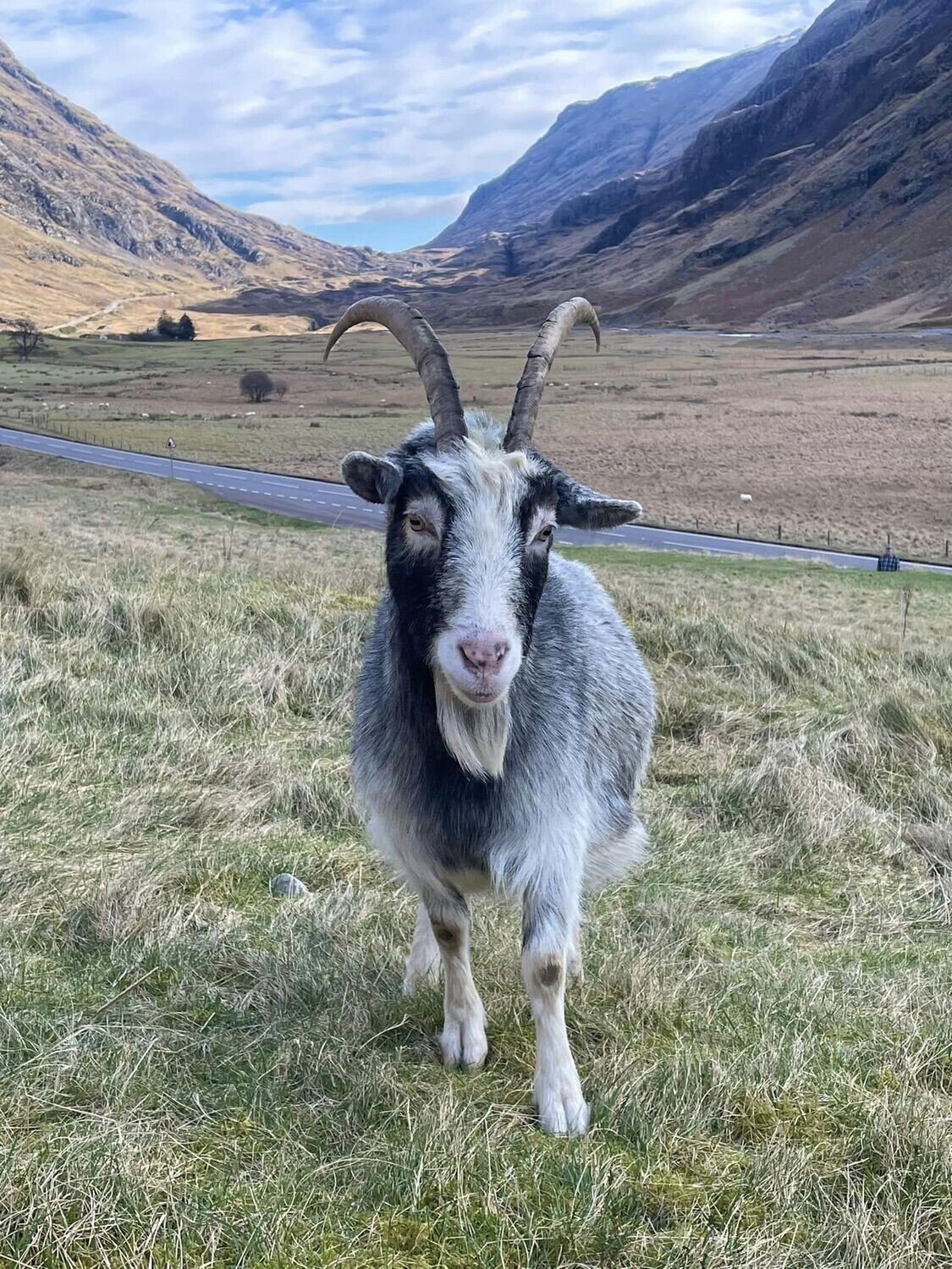 balance for single supplement