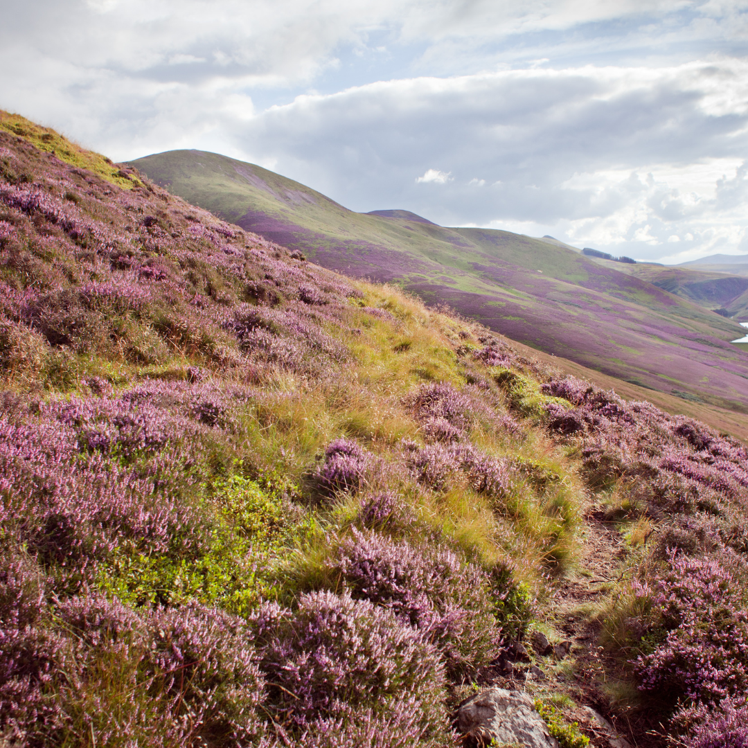 Music Tour to Scotland Deposit - David LaMotte