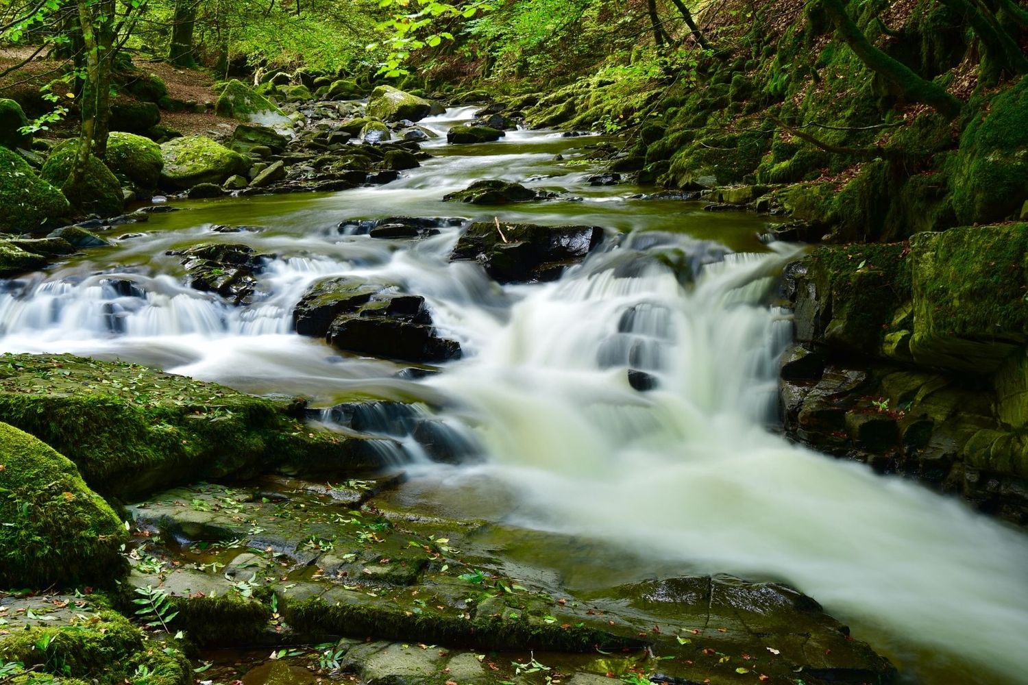 Music of Scotland with Glen, Sue &amp; Sloan