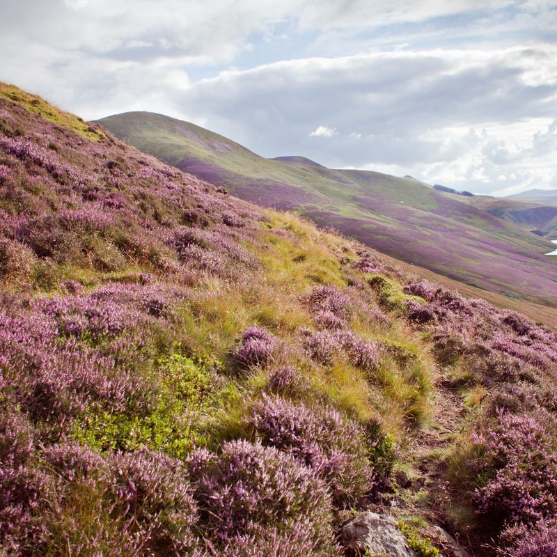 Music Tour to Scotland Deposit - David LaMotte