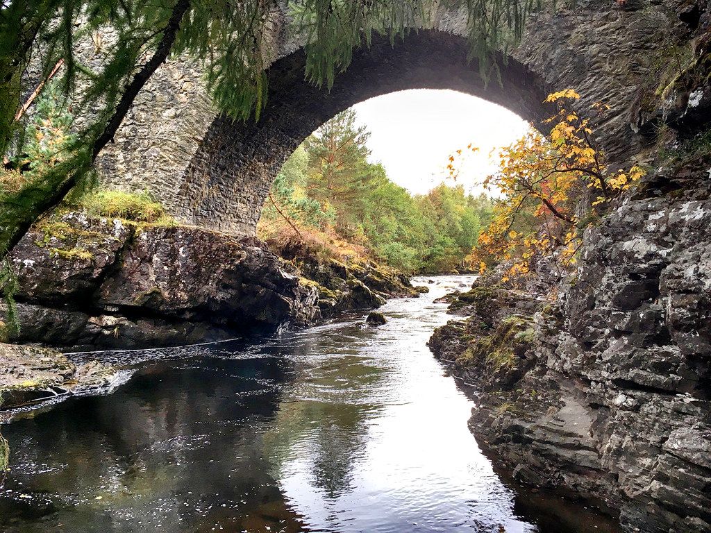 2nd Payment (and 3rd) - Dr. Shannon South's Tour