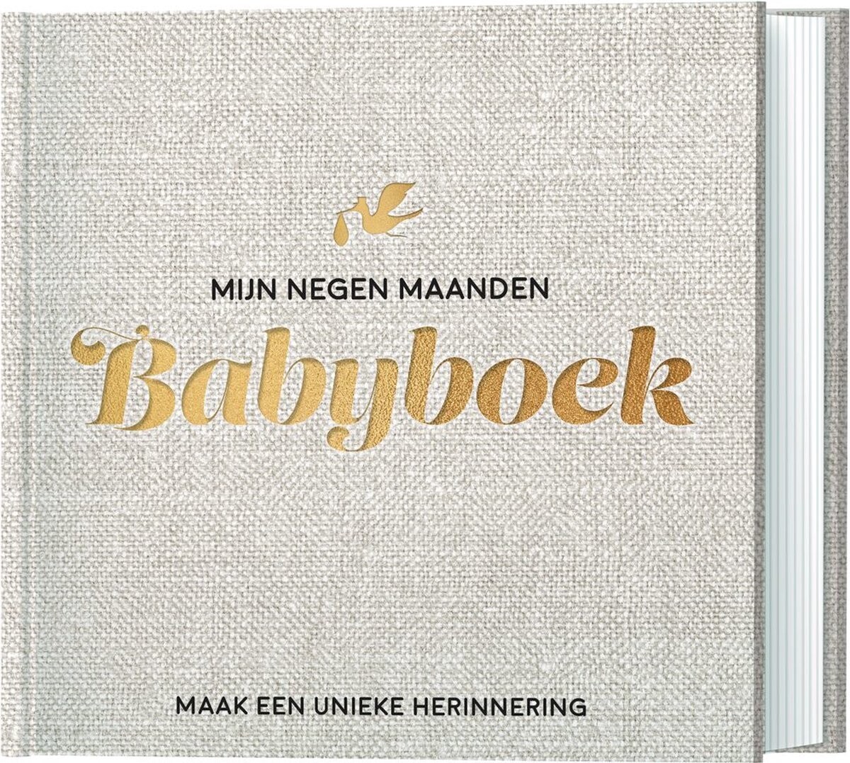 Mijn negen maanden babyboek | Met goudfolie look