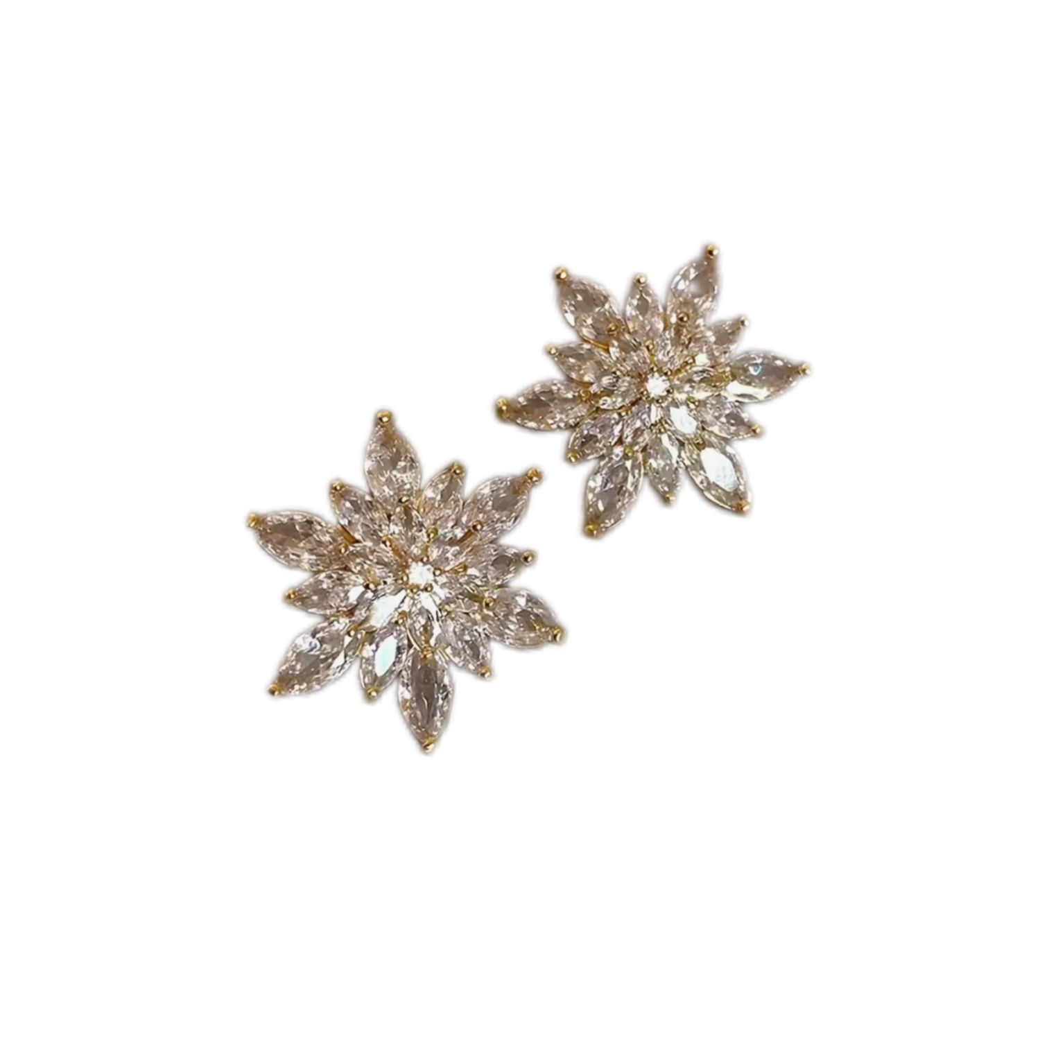 Party Collection | N1