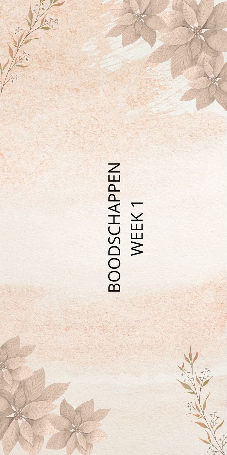 Budget Planner | Los mapje