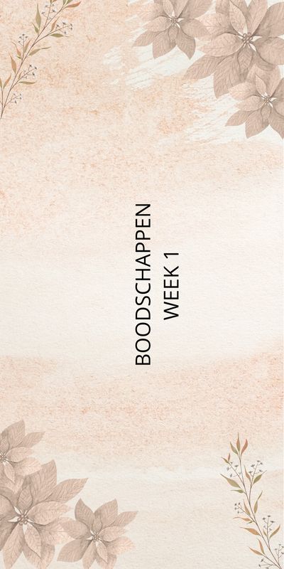 Budget Planner | Los mapje