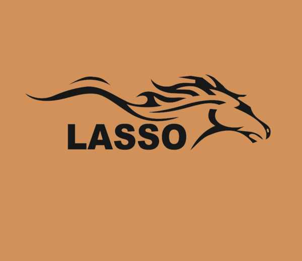 Lasso