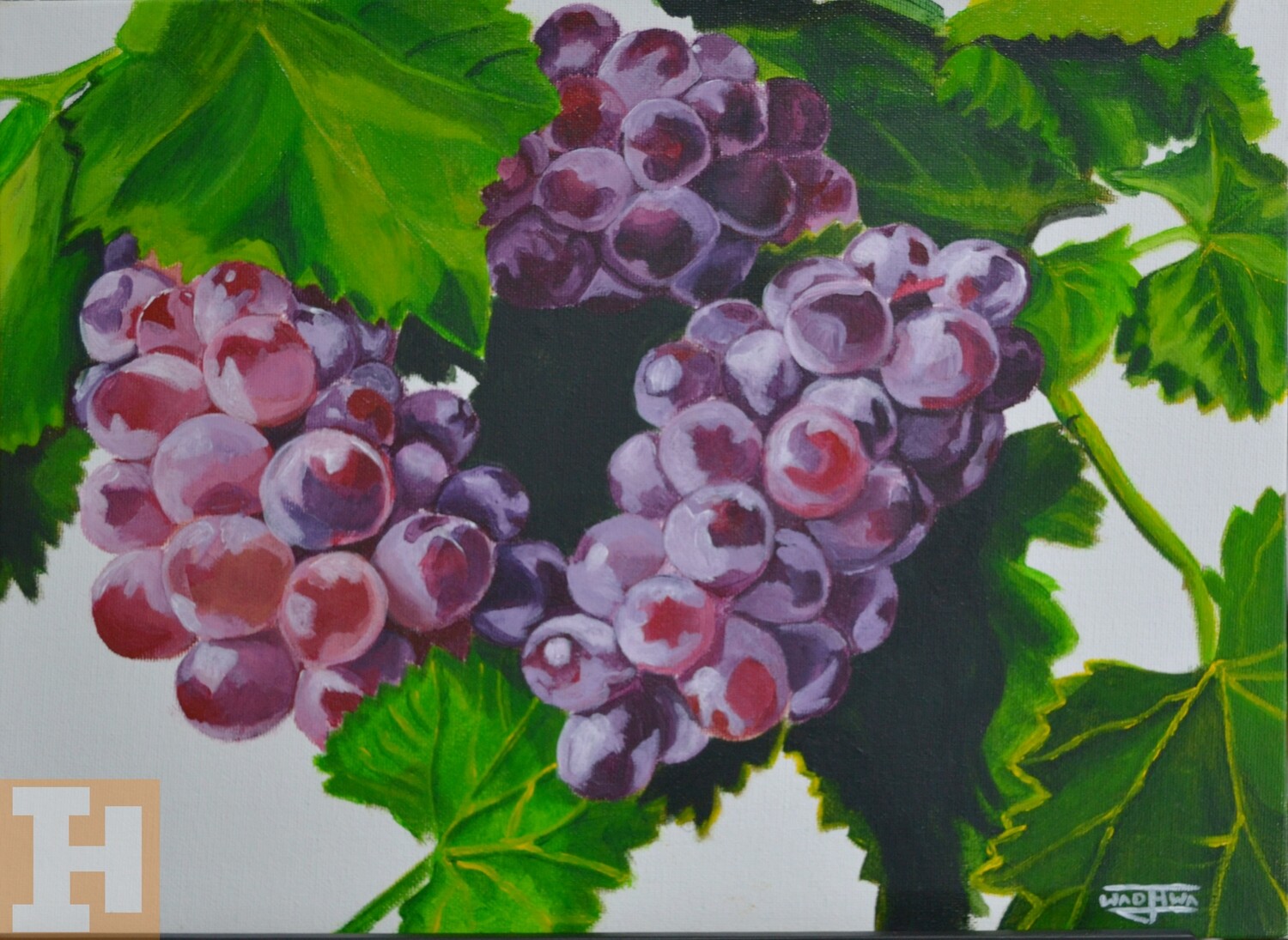 Grapes:- Acrylics on Canvas Panel 30.5cmx40.6cm