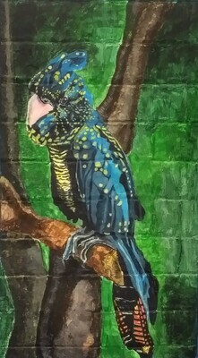 Black Cockatoo (Postcard:A6)