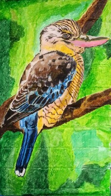 Kookaburra (Postcard:A6)