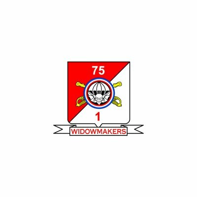 1-75 CAV "Widowmakers"