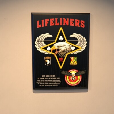 101st STB - 9"x12" Plaque