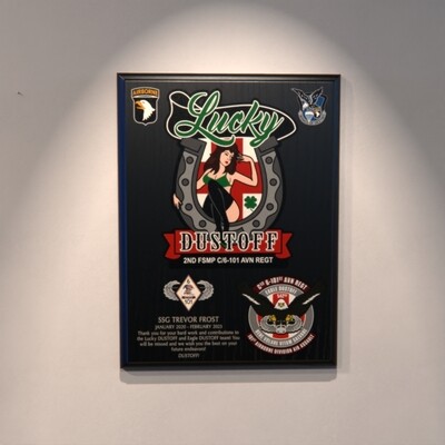 2nd FSMP &quot;Lucky Dustoff&quot; C Co 6-101 AVN - 9&quot;x12&quot; Plaque