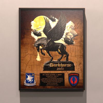 &quot;Darkhorse&quot; 2-160th Plaque - 16.5&quot;x20.5&quot;