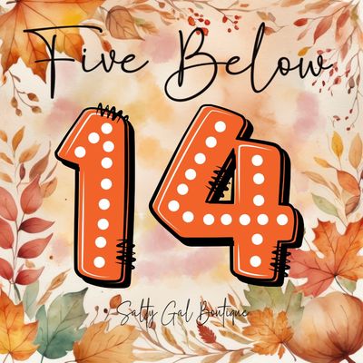 🟠 Five Below #14 🟠