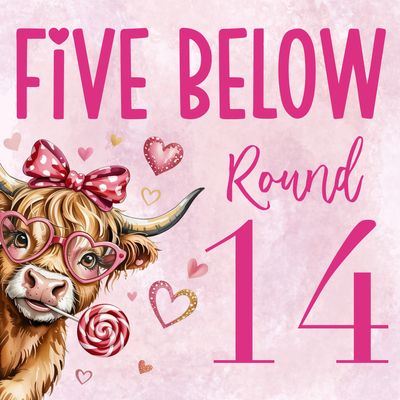 🩷 Five Below #14 🩷