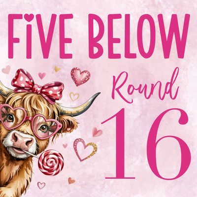 🩷 Five Below #16 🩷