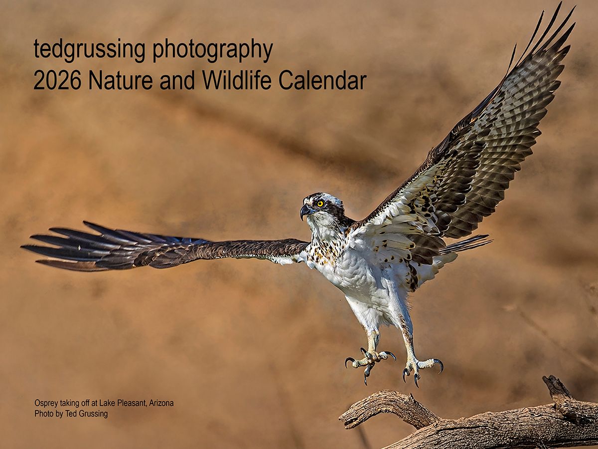 2026 Nature and Wildlife Calendar