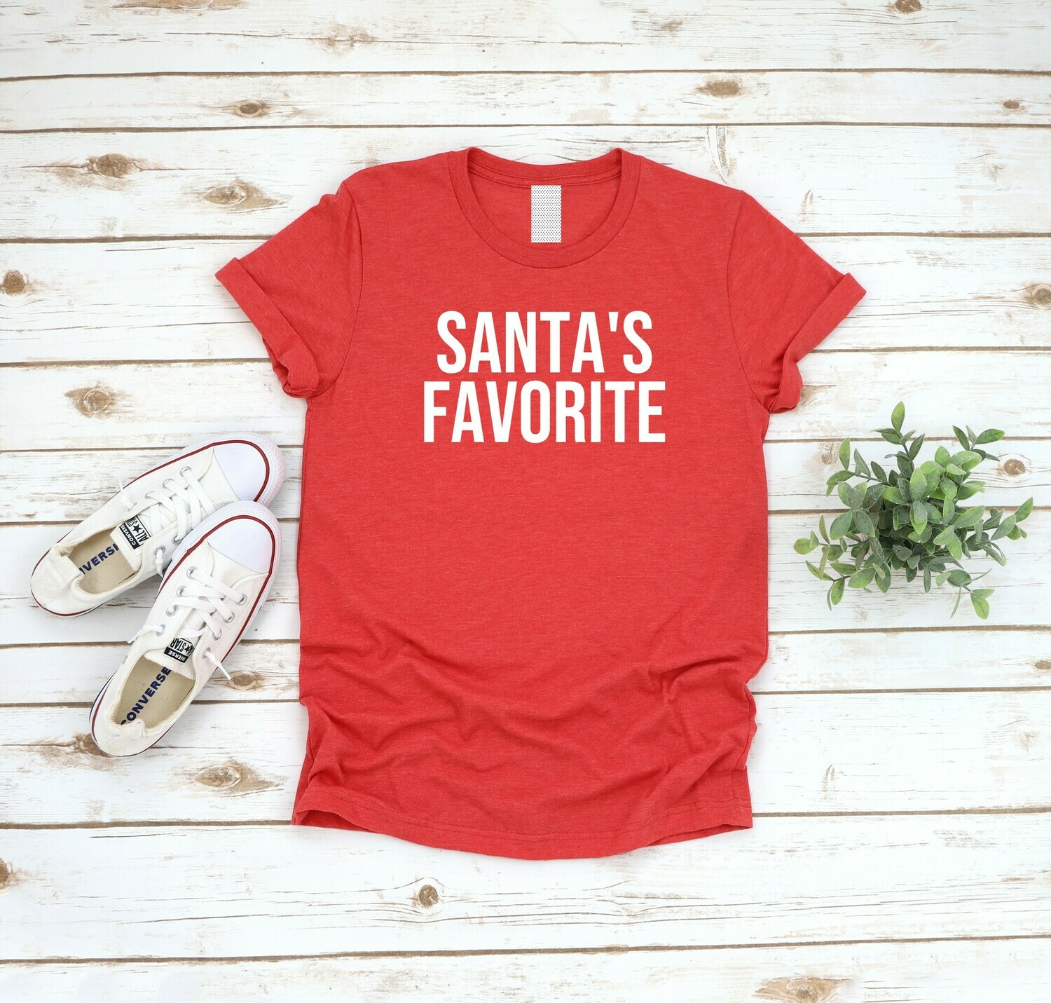 Santa's Favorite