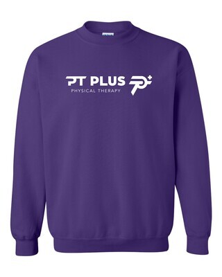 PT Plus