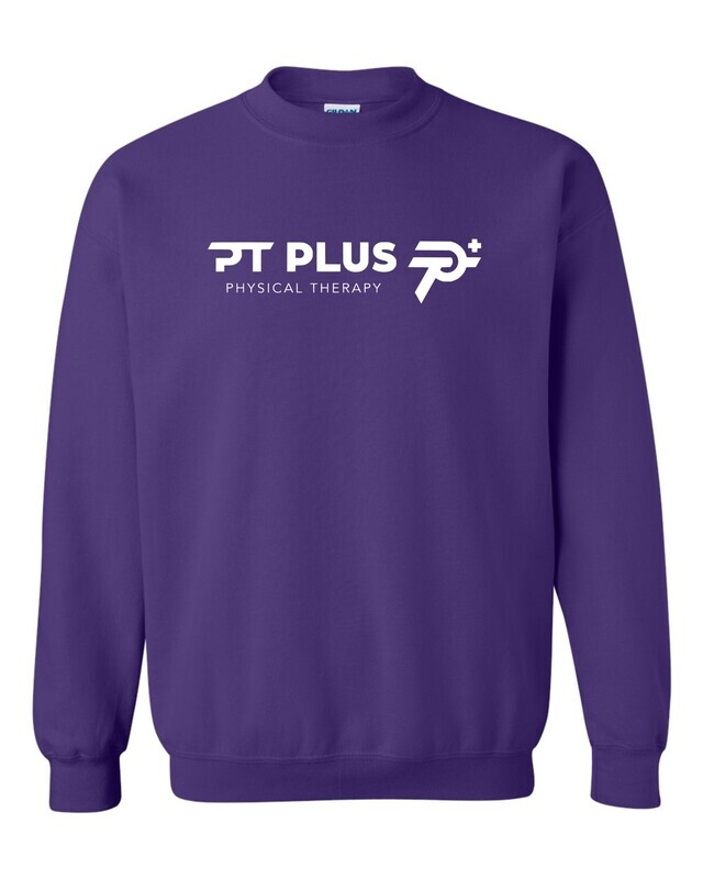 PT PLUS