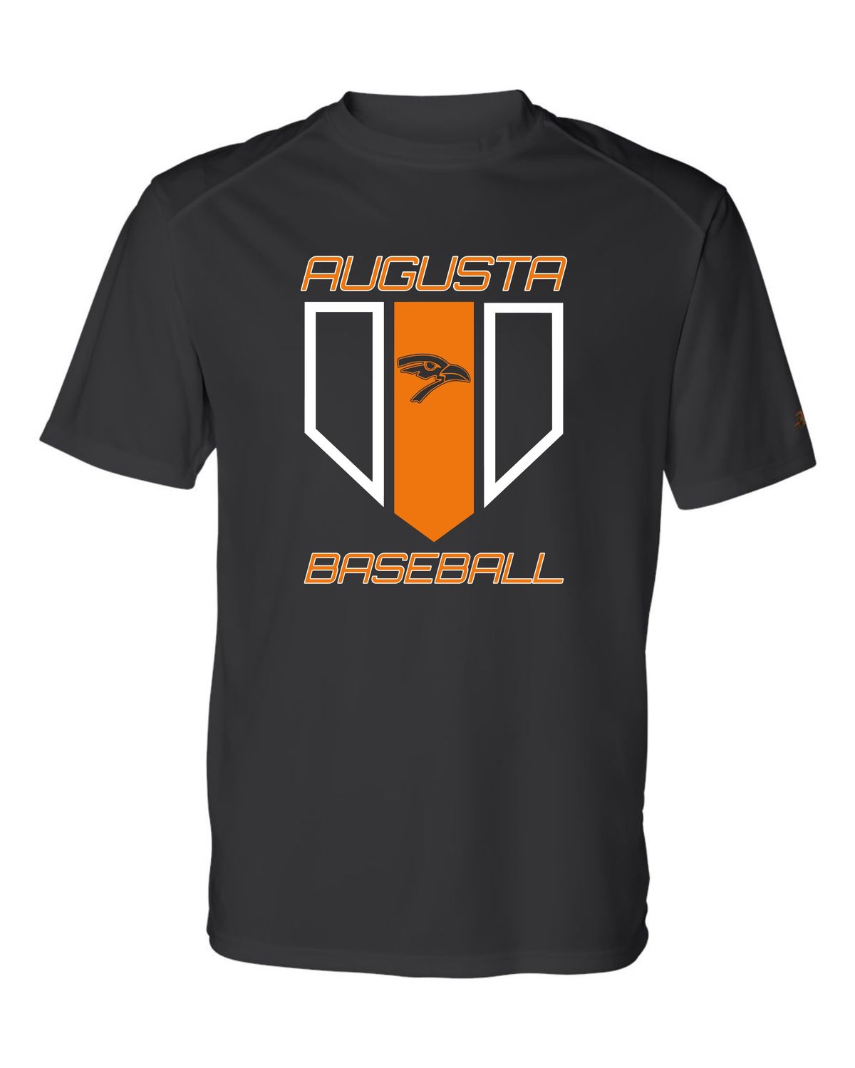 Augusta Orioles Baseball 2024