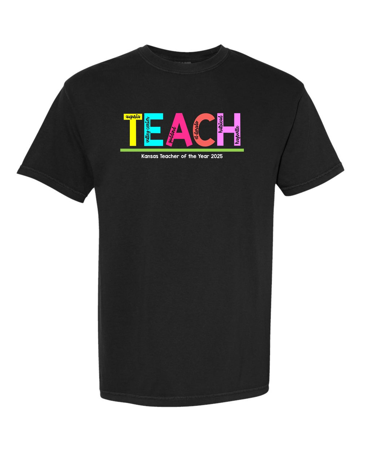 Kansas Teacher of the Year 2024