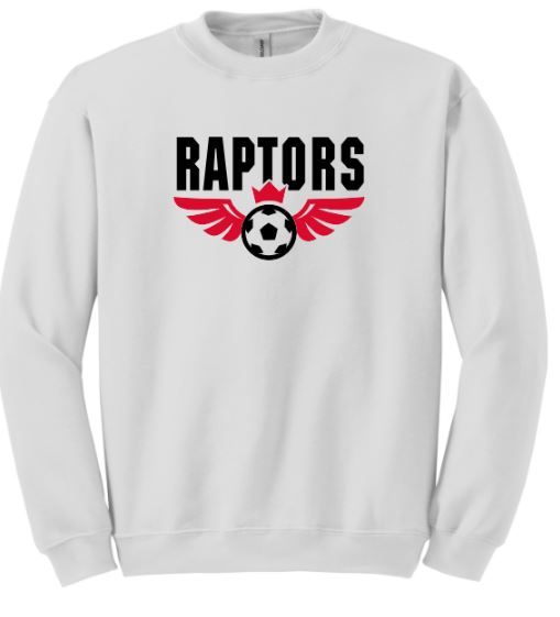 Raptors Wings Crewneck/Hoodie