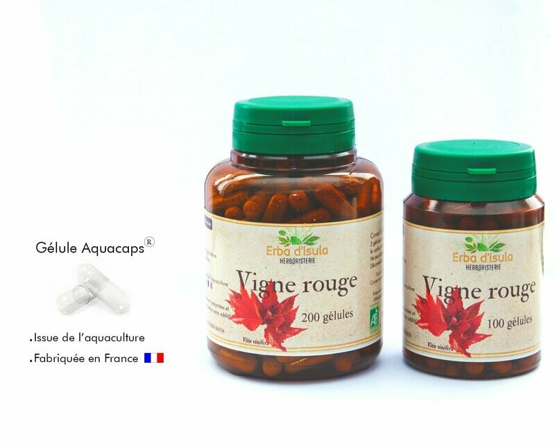 Vigne rouge