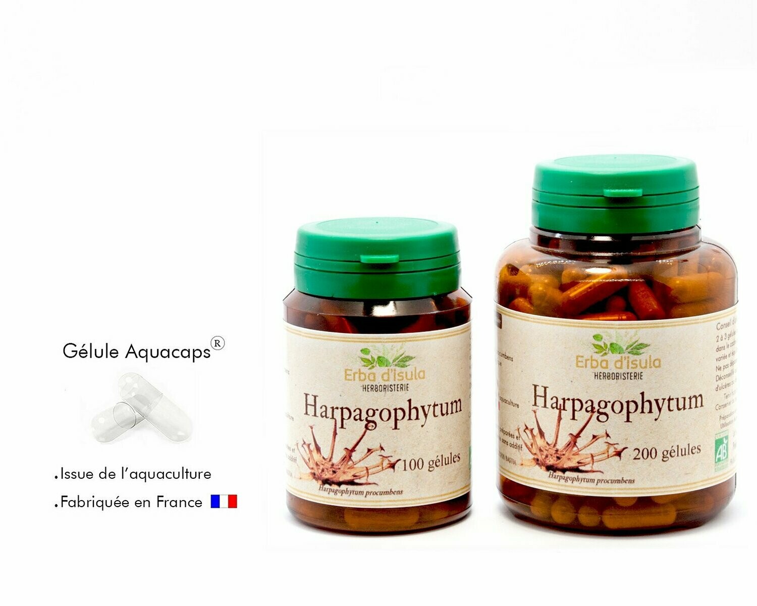 Harpagophytum, Votre choix: Flacon 100 gélules