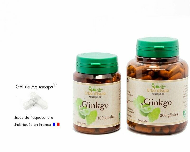 Ginkgo