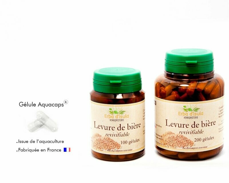 Levure de bière revivifiable