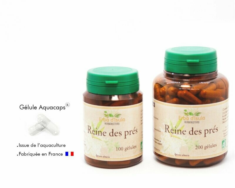 Reine des prés