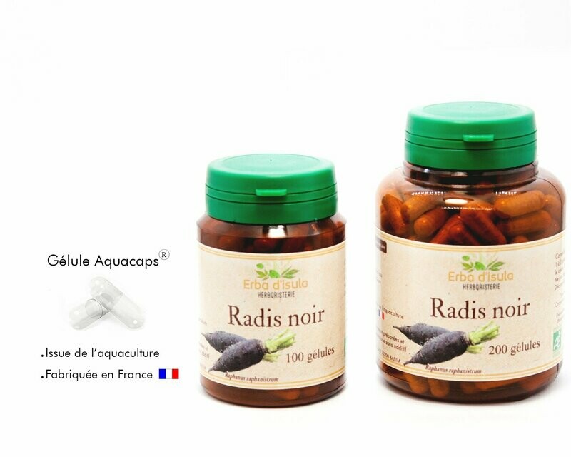Radis noir