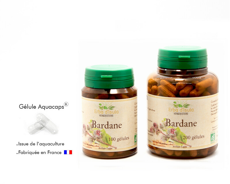 Bardane