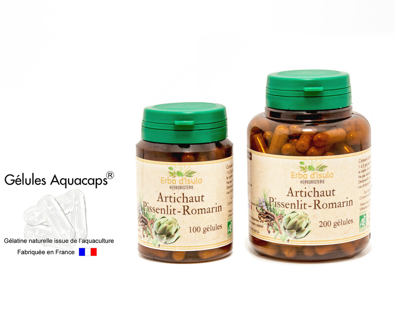 Artichaut  /  Pissenlit /         Romarin