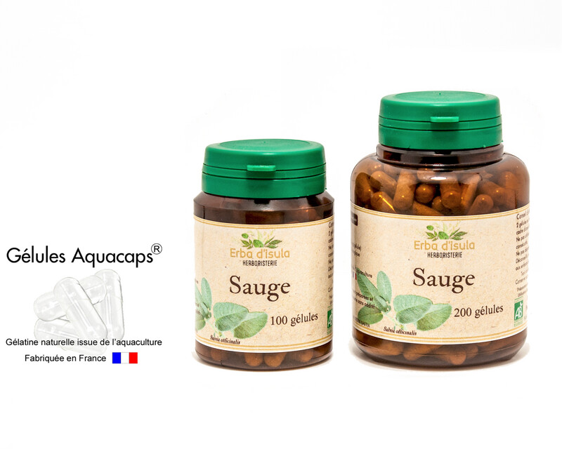 Sauge officinale