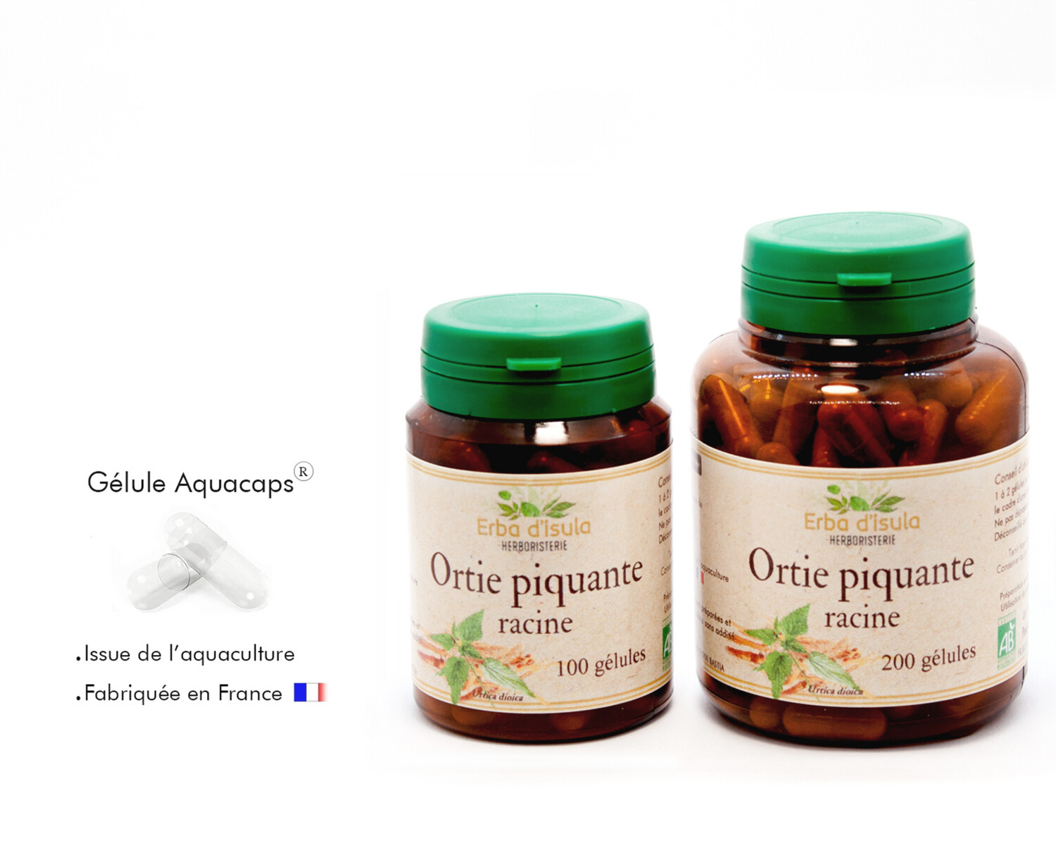 Ortie piquante (racine)