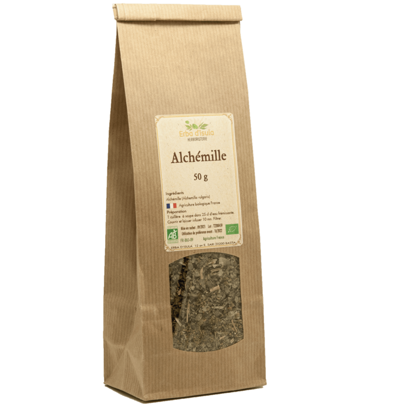 Tisane d'Alchémille
