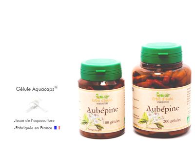 Aubépine Aubépine
