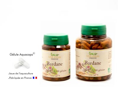 Bardane Bardane