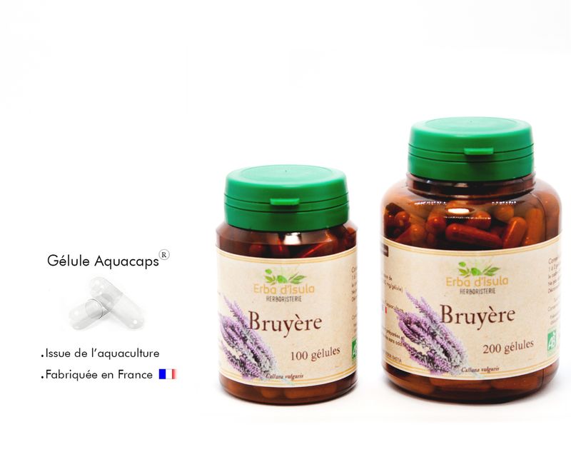 Bruyère Bruyère
