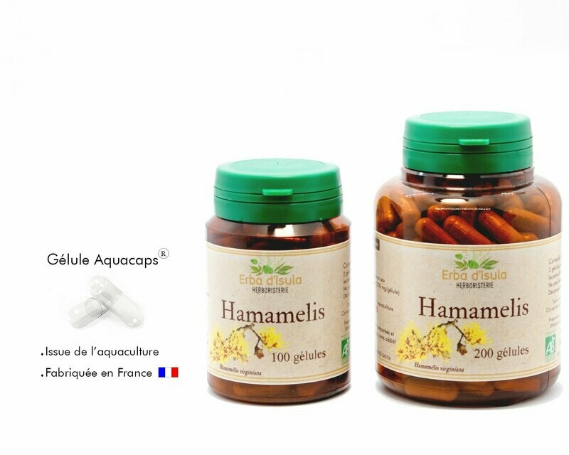 Hamamélis Hamamélis