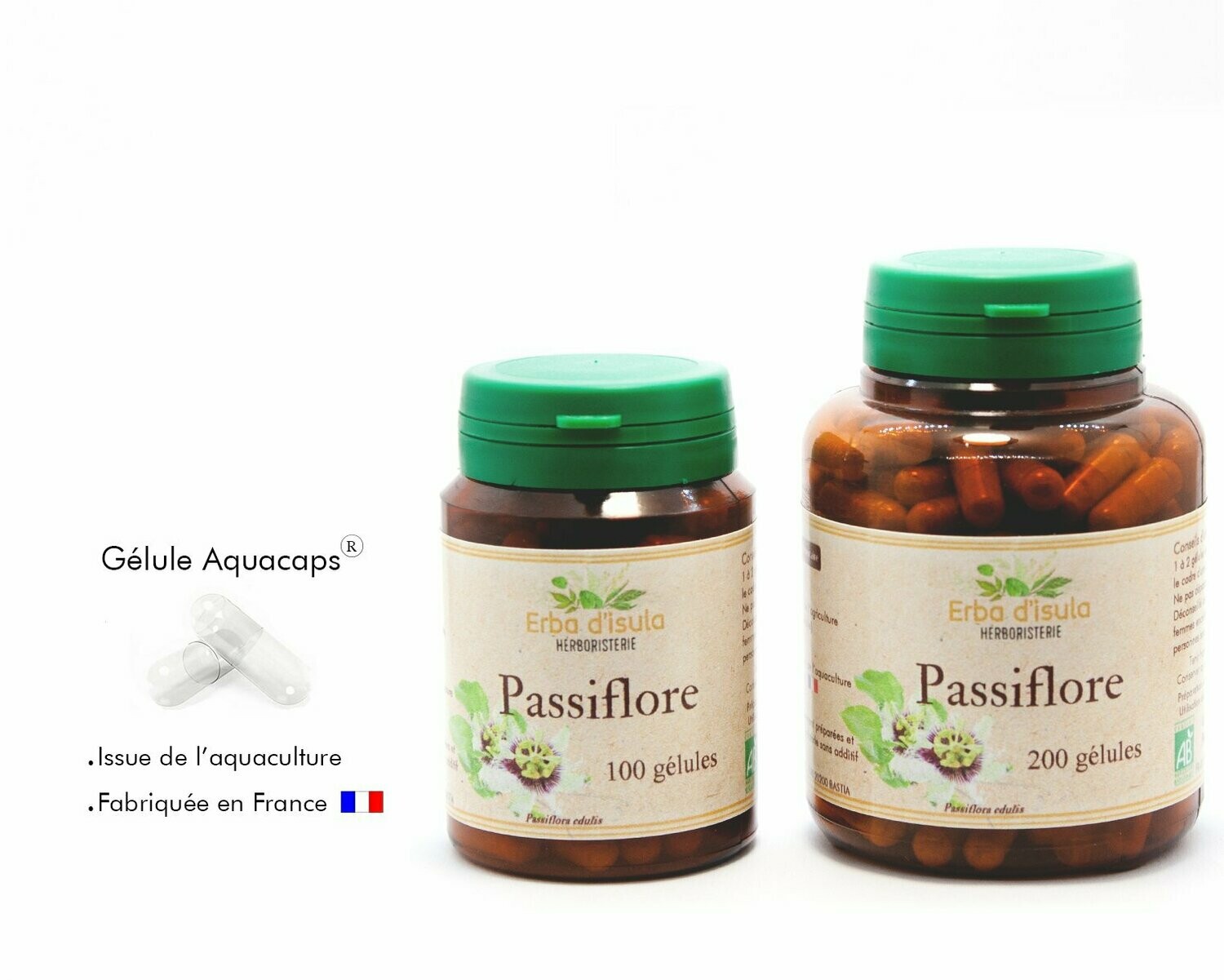 Passiflore Passiflore