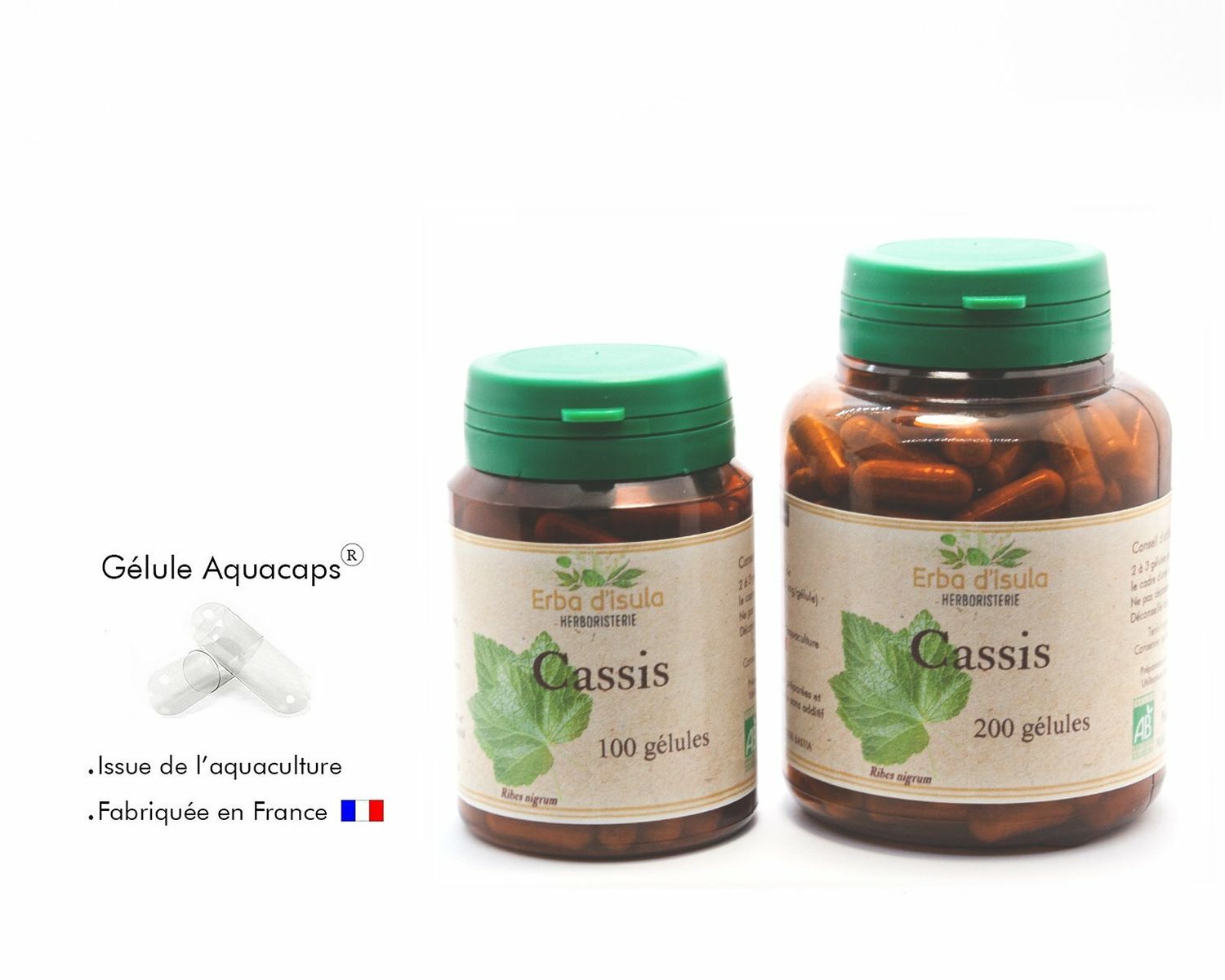 Cassis Cassis