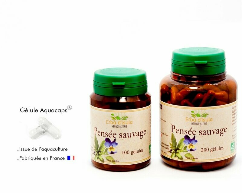Pensée sauvage Pensée sauvage