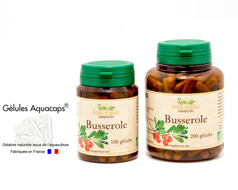 Busserole Busserole