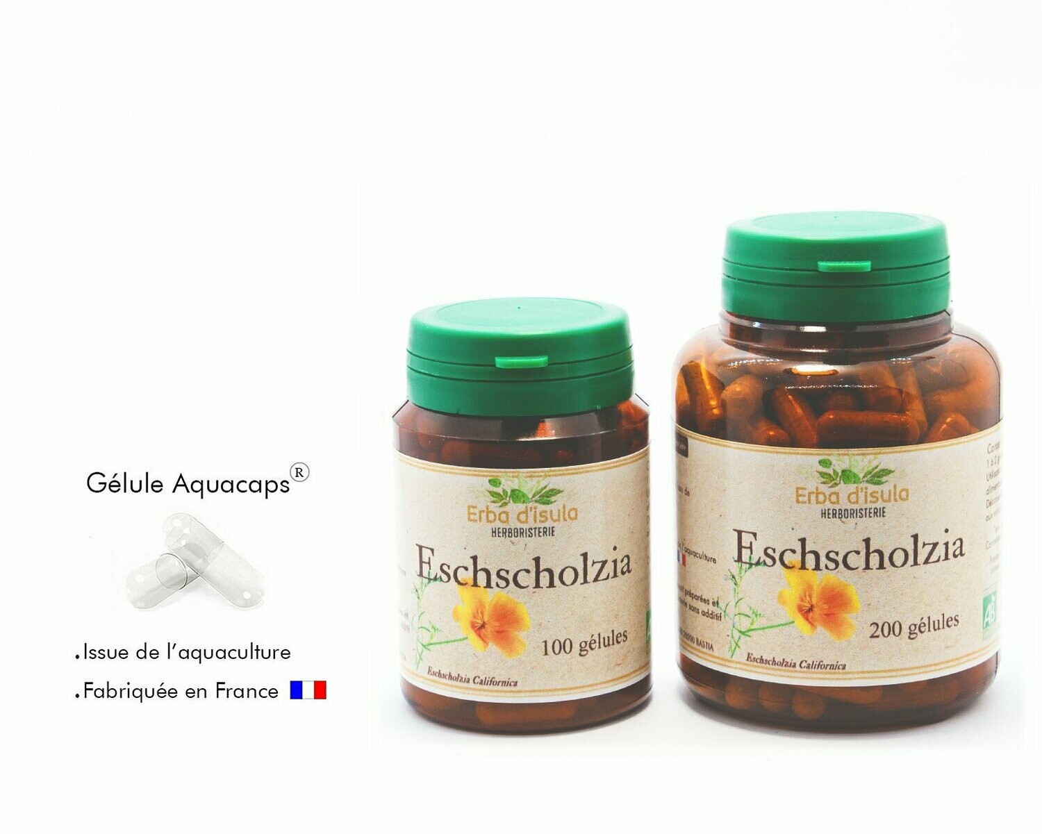 Eschscholtzia Eschscholtzia